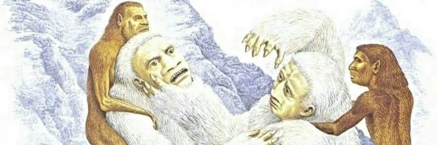 Scraylord's profile banner image