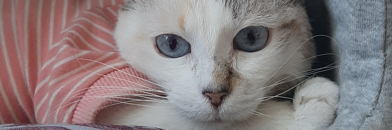 marie.line🧡🇲🇫 banner