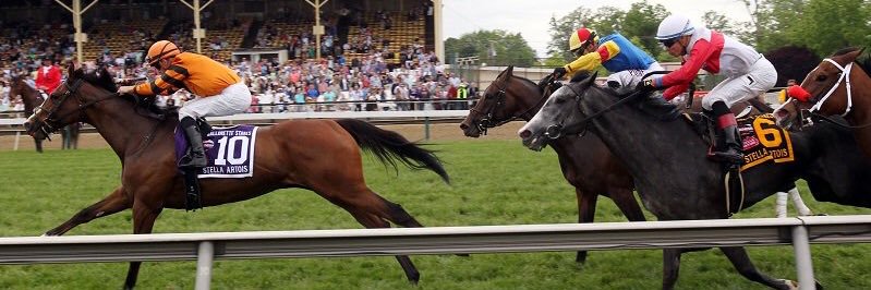 Lindsay Schultz Racing Stable banner