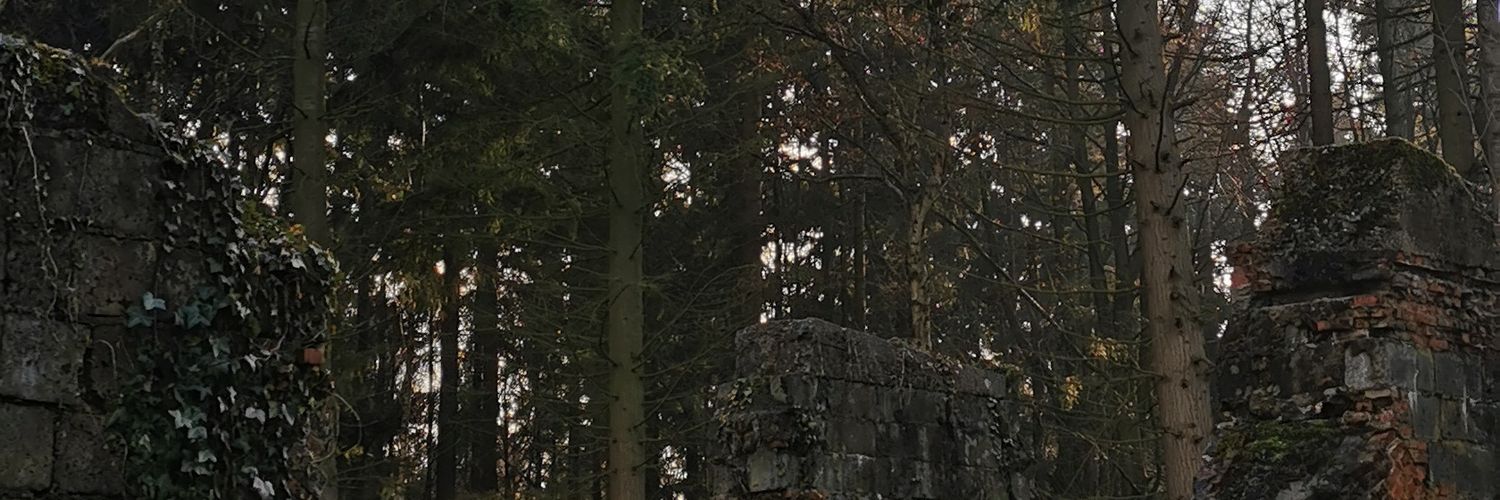 VariaFan's profile banner image