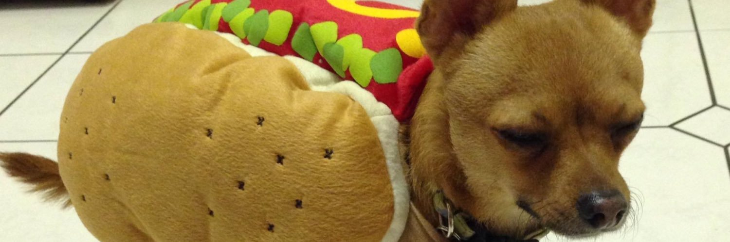 Rescued.by.Rescue.Pups banner