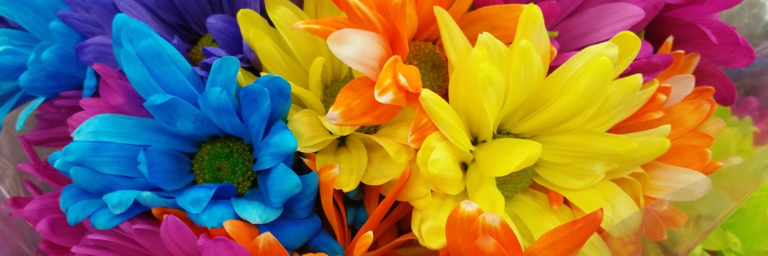 helloitsstephy's profile banner image