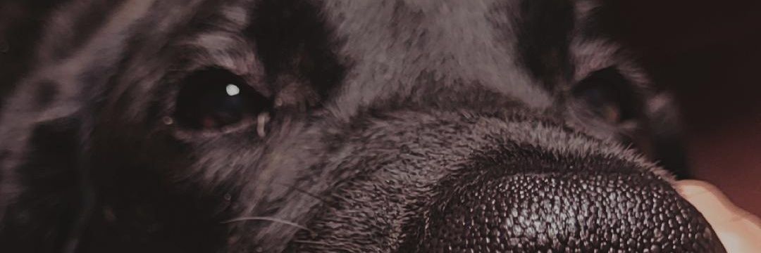 Anaahbe's profile banner image