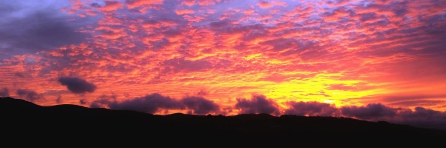 swampshiloh's profile banner image
