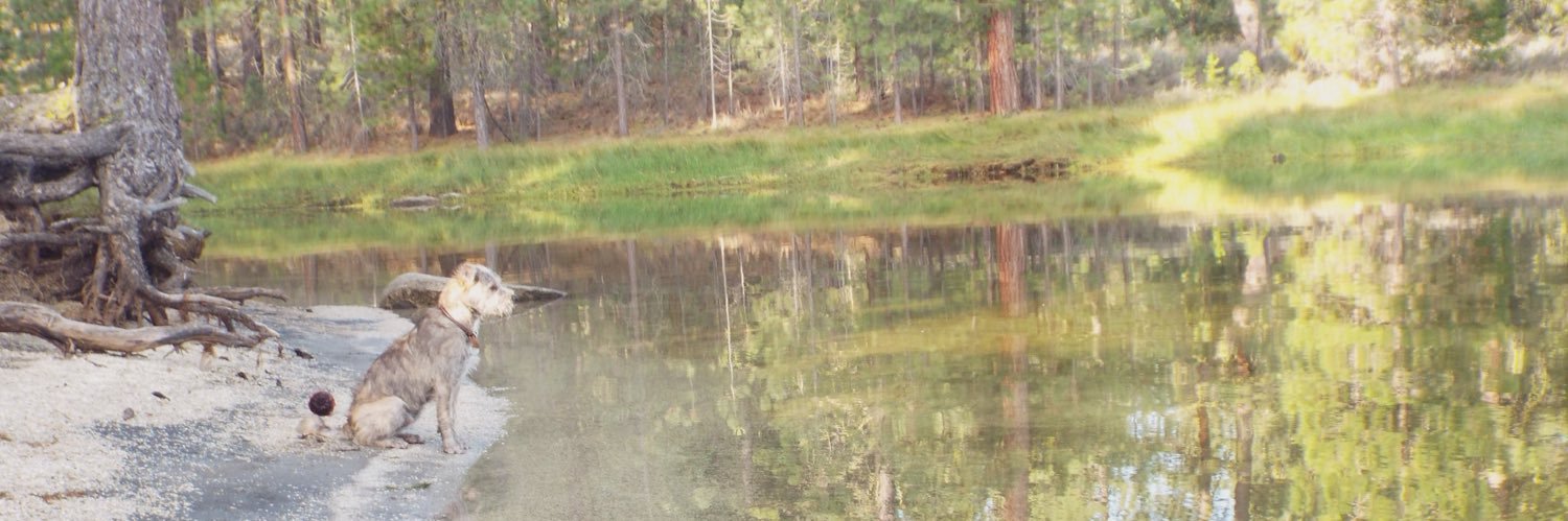 cooper_hendo's profile banner image