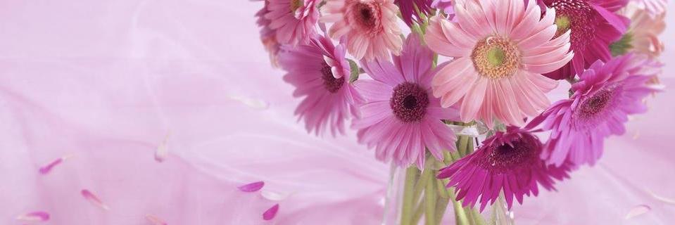 aura_dogaru's profile banner image