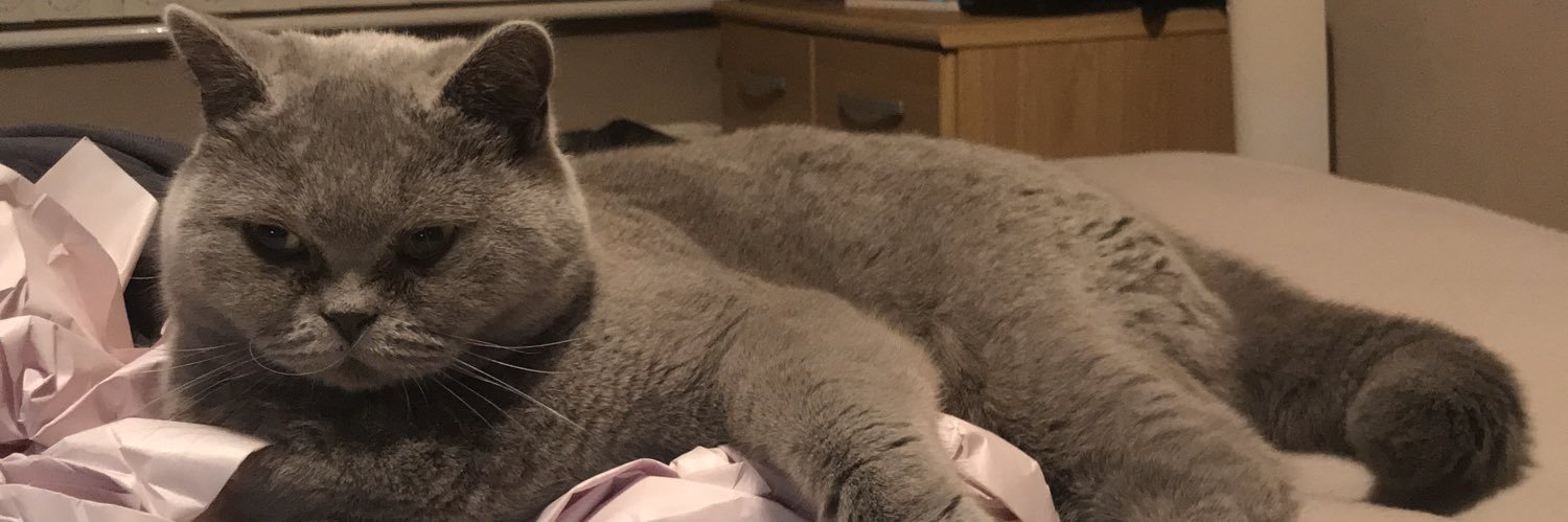 Karen Driver, Risk & Compliance & Member Pioneer banner