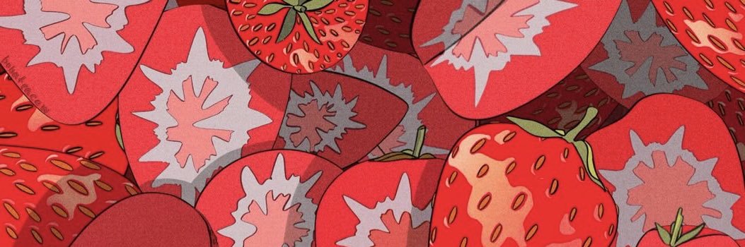 aïna banner