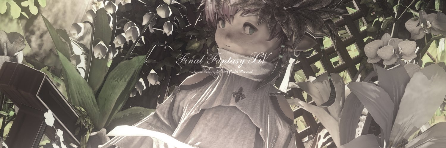 アルバ banner