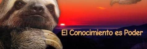 elimanaa's profile banner image