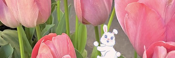 oyabaekkk_'s profile banner image