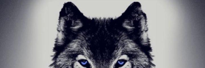 YavuzTurkbeyi's profile banner image