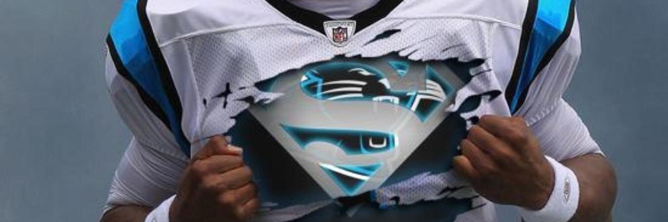 Carolina Panthers banner