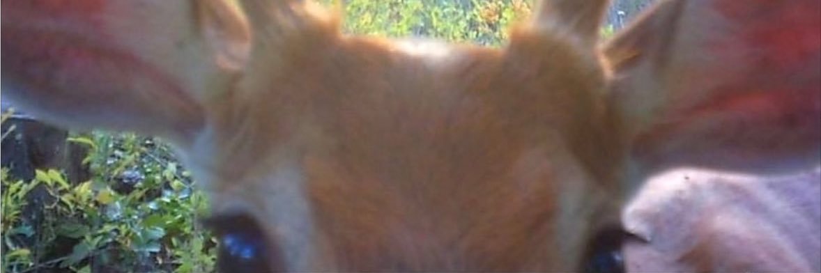 _marilluna's profile banner image