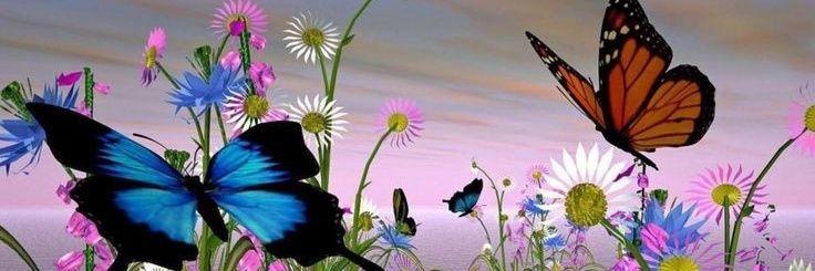 atheena_smith's profile banner image