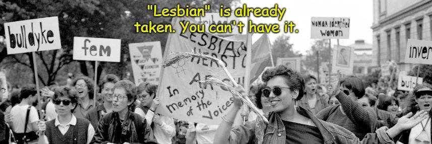 Lesbian🍁Life banner