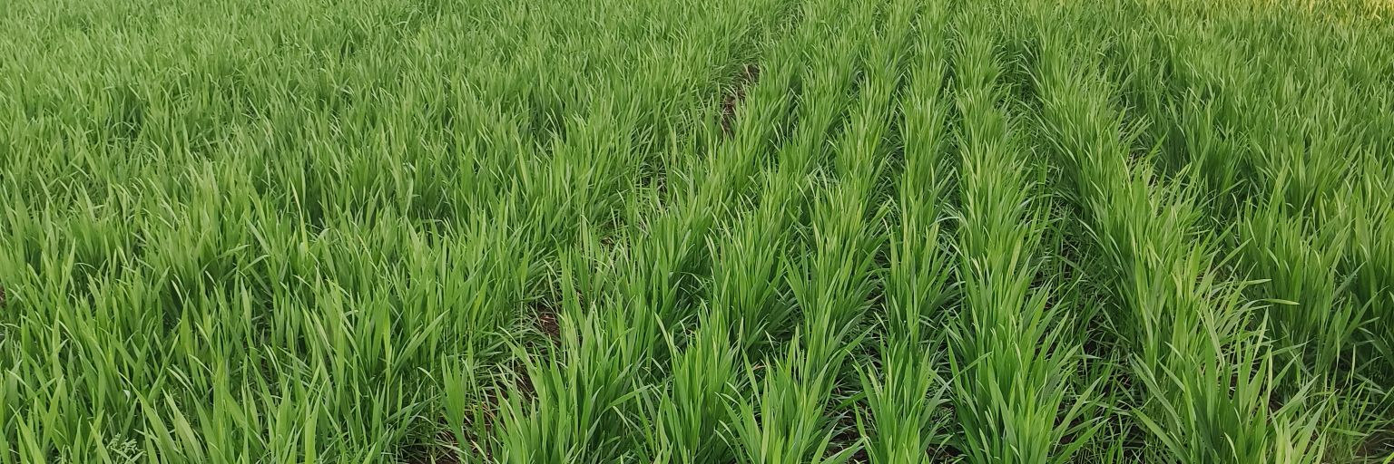 बद्री धाकड़ 🇮🇳 banner