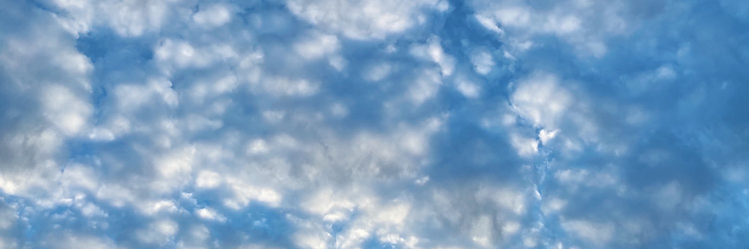 alexandrafedak's profile banner image