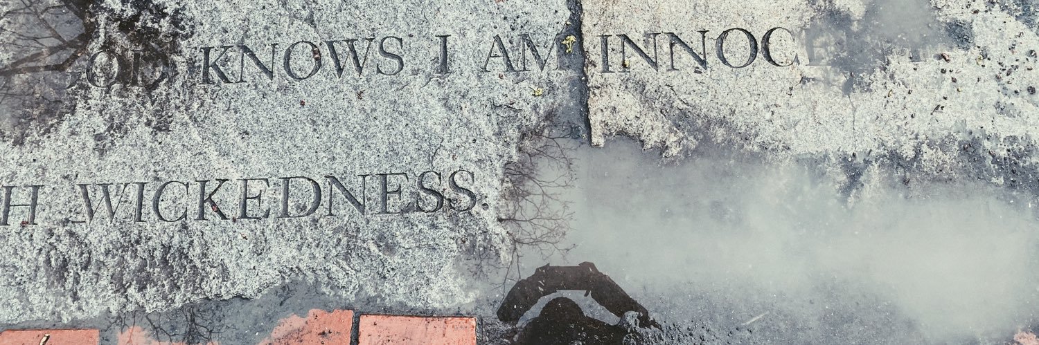 nbhamilton's profile banner image