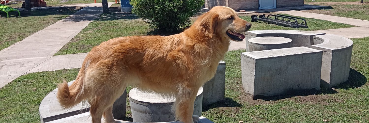 Seba martinez banner