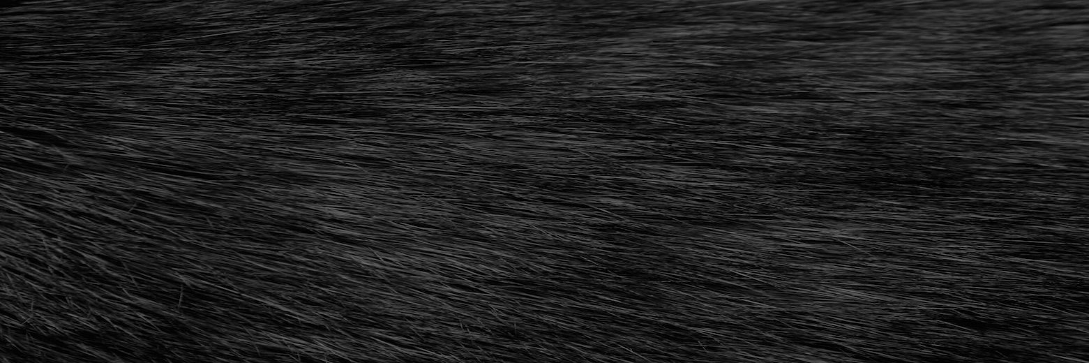 _ushua's profile banner image