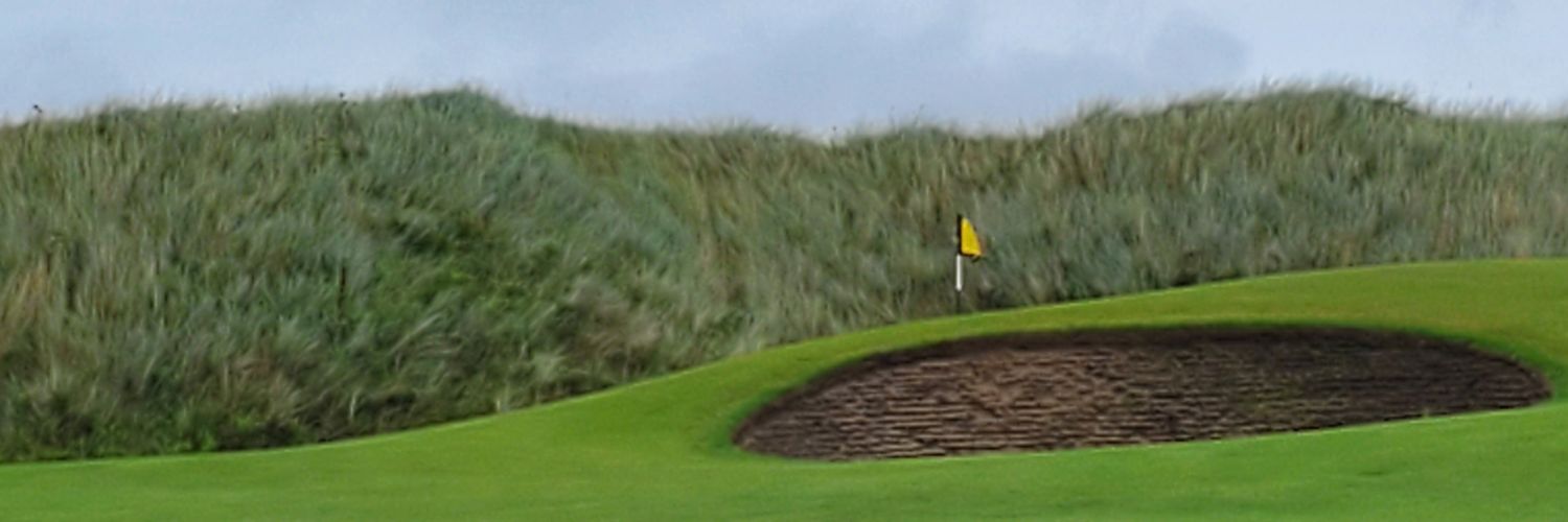 sciubs's profile banner image