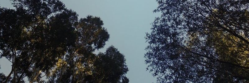 agathamaivan's profile banner image