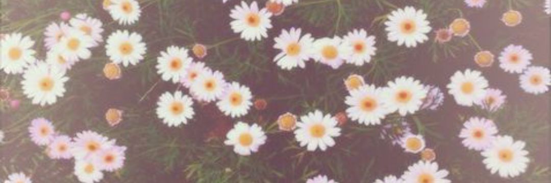 britttwright's profile banner image