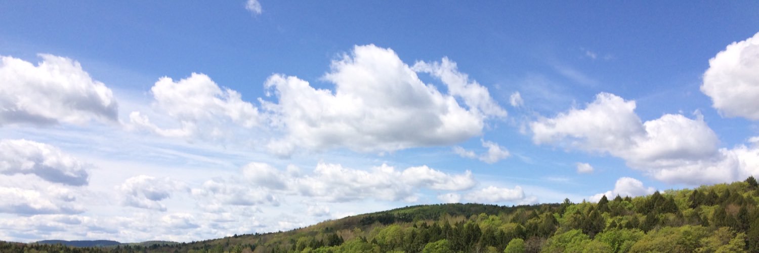 Enya banner