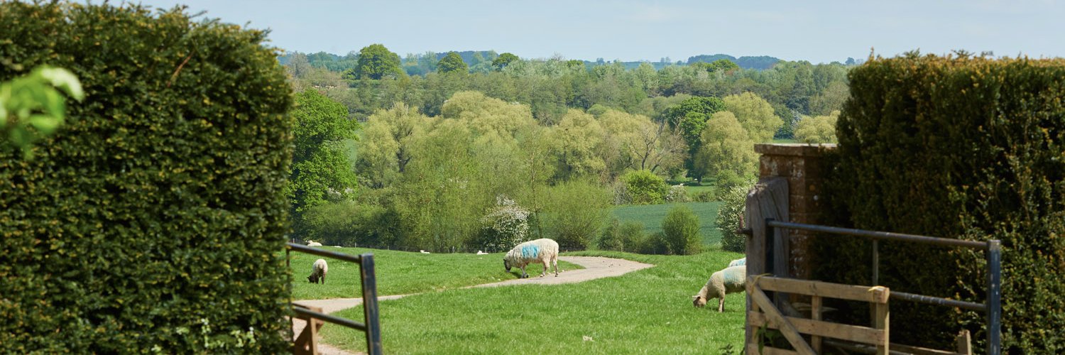 PurstonLamb's profile banner image