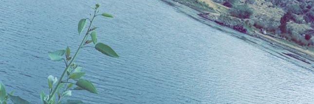 aboww6343's profile banner image