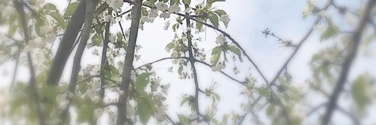 ItsGabs_'s profile banner image
