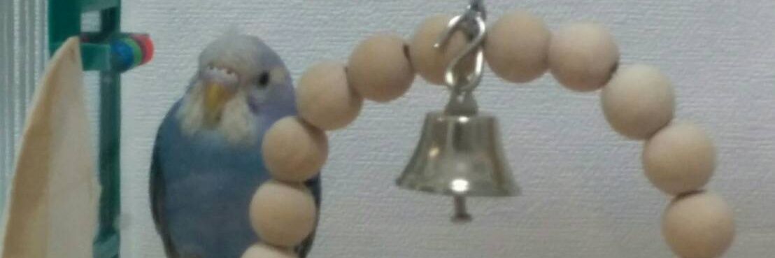 りんこの母 banner