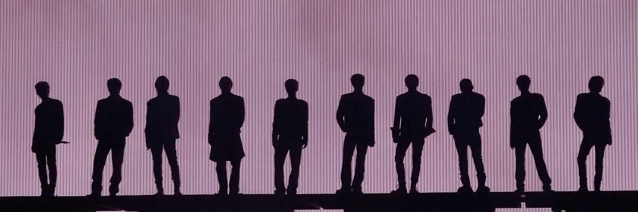 /ᐠ - ˕ -マ✦ banner