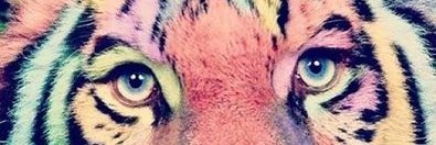 BrendMoren's profile banner image