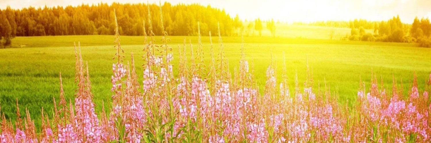 solmanassero's profile banner image