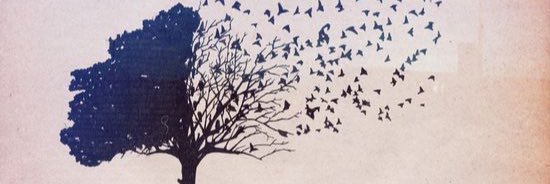 Anna M. Higgins banner