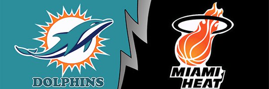 Delaware_Dolfan's profile banner image