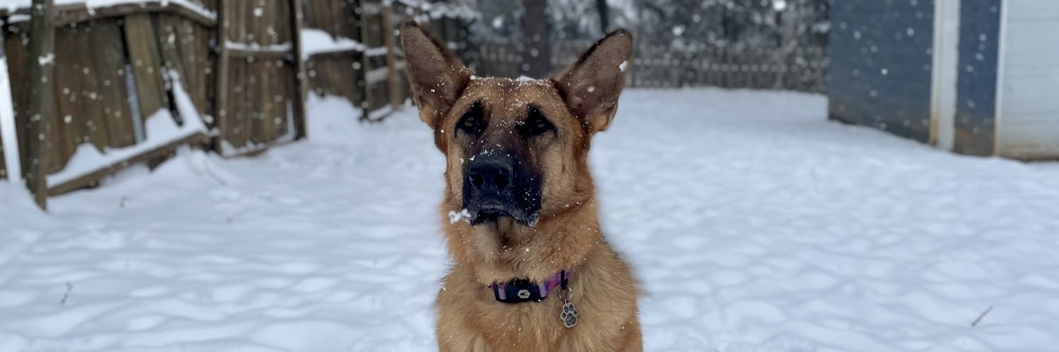HaleyDuckett's profile banner image