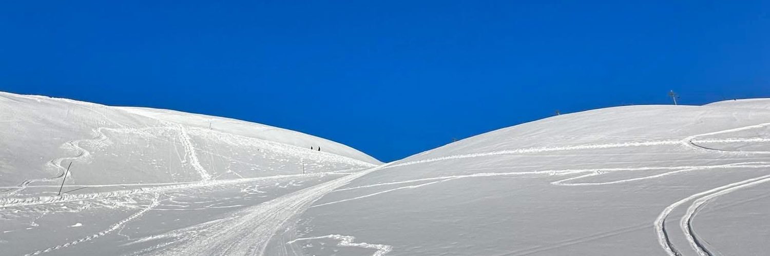 Phil D’Artiga banner