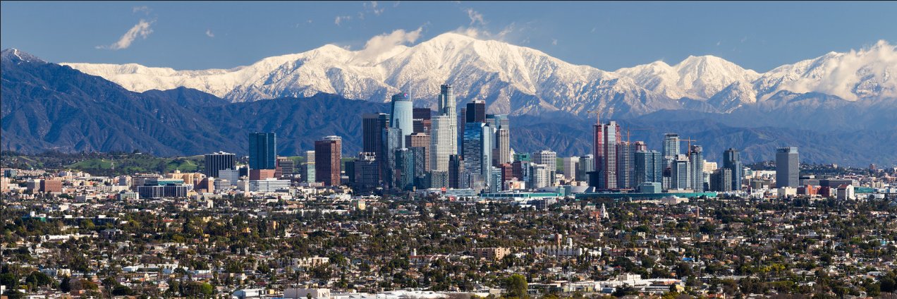 Joel Preisler banner