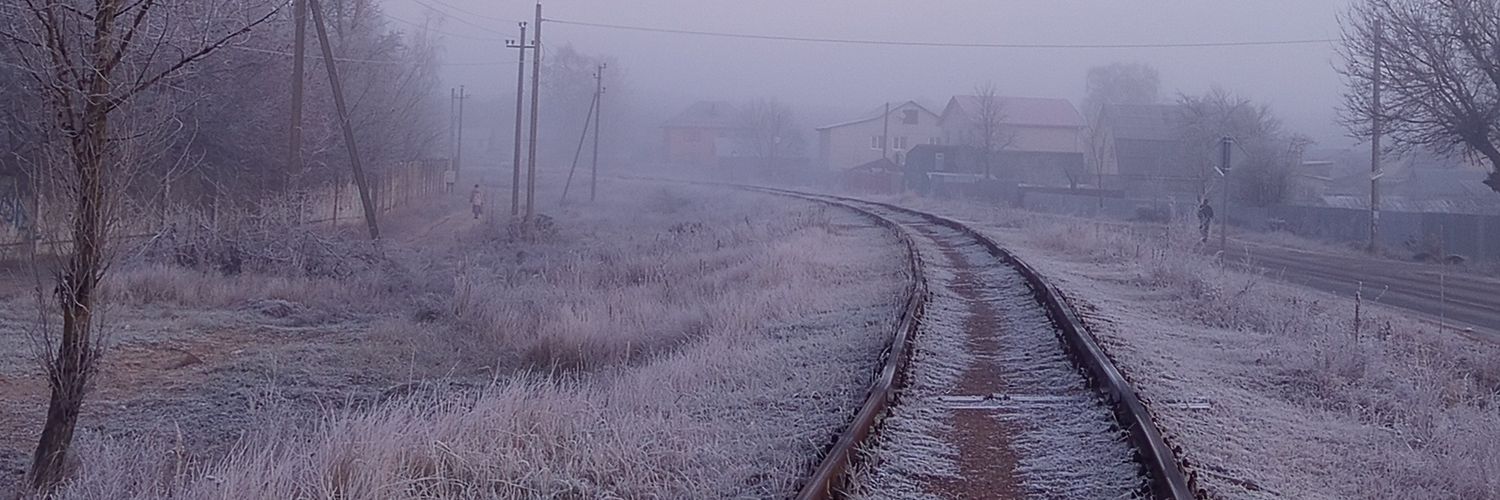 Святая Лиса banner