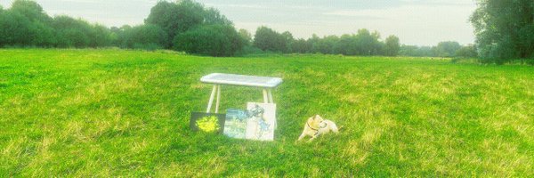 majorbean_ Profile Banner