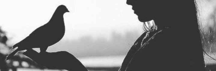Sh_oosh29's profile banner image