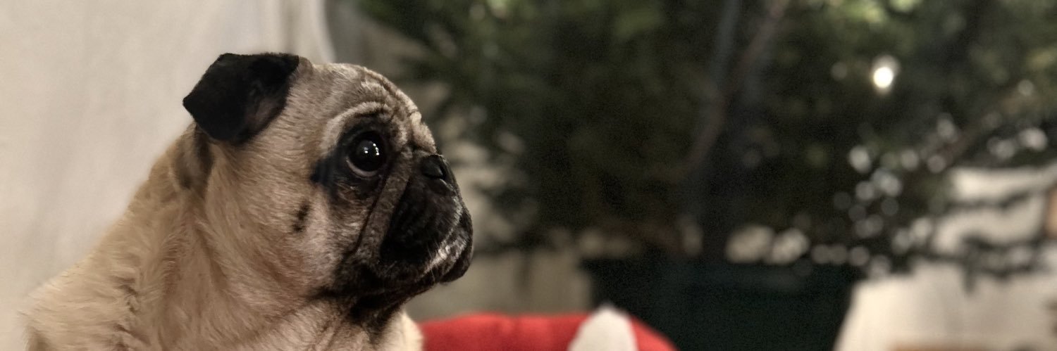 lowrig98's profile banner image