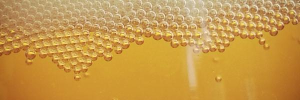 HopSaSam Profile Banner