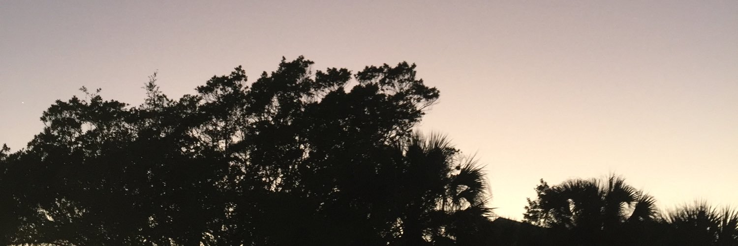 Jillian_Rose1's profile banner image