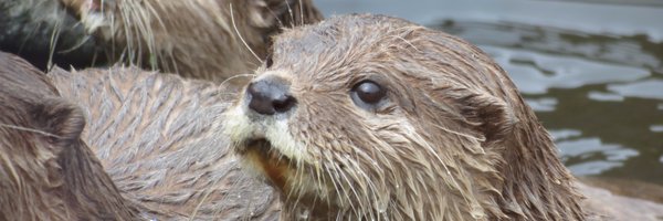 Hunstanton SEA LIFE Profile Banner