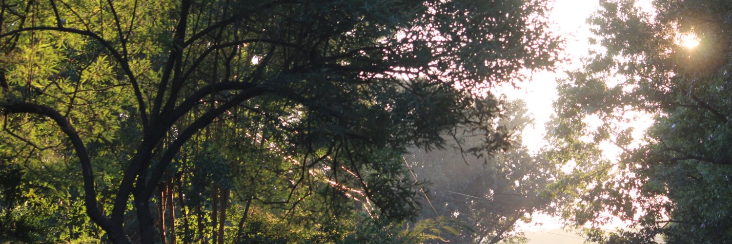 differentbreedt's profile banner image