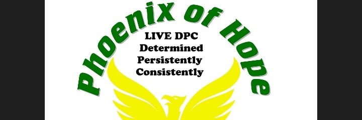 phoenix_ofhope's profile banner image